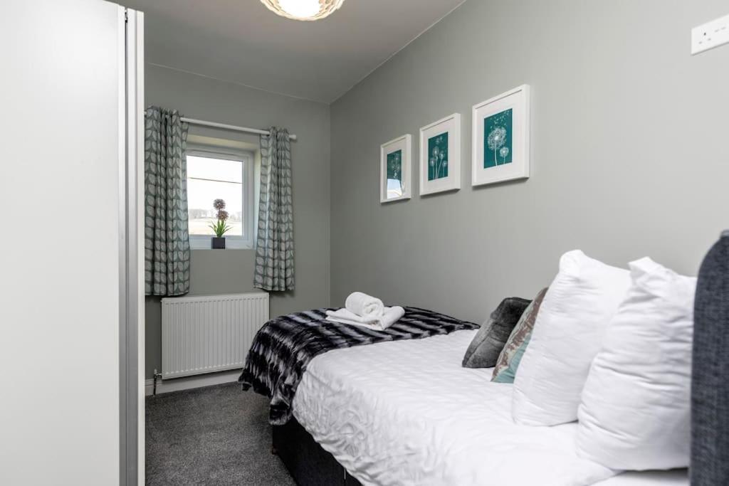 Coundon Auckland View - A Comfy & Spacious 4Bed With Views מראה חיצוני תמונה