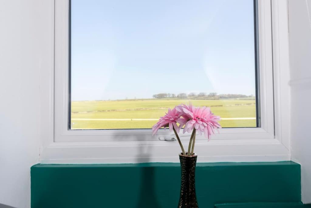 Coundon Auckland View - A Comfy & Spacious 4Bed With Views מראה חיצוני תמונה