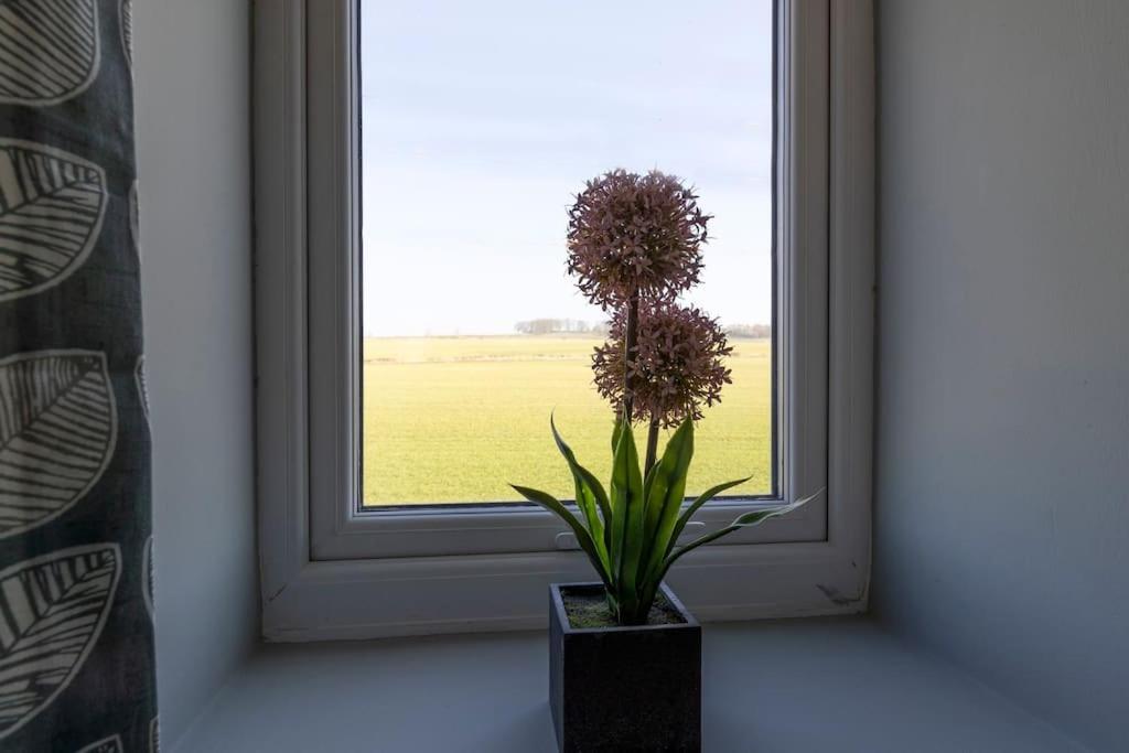 Coundon Auckland View - A Comfy & Spacious 4Bed With Views מראה חיצוני תמונה